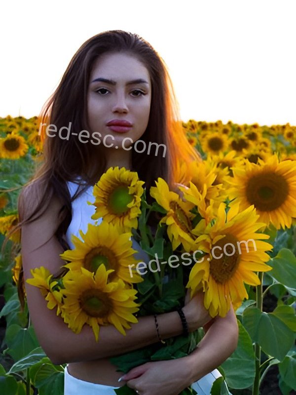 Рита — Судогда